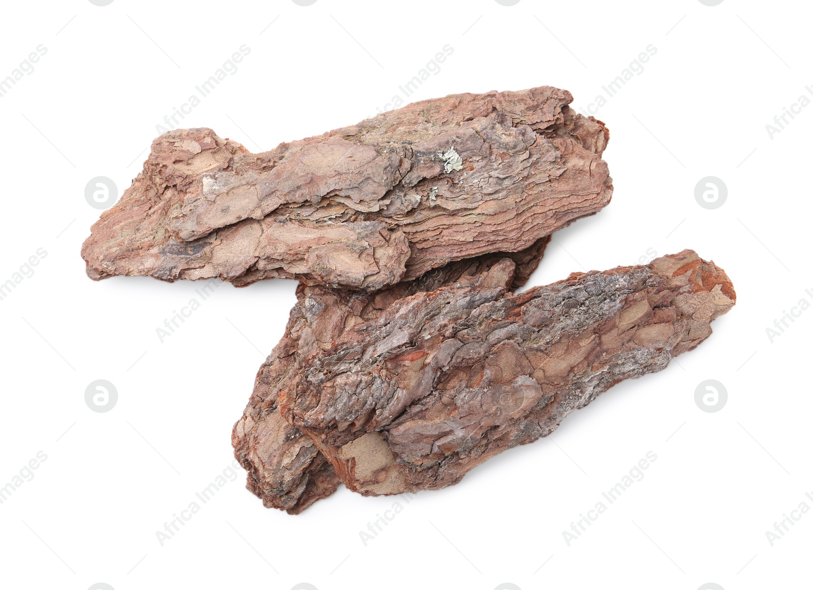 Pieces of tree bark on white background, top view Photo of Pieces of tree bark on white background, top view