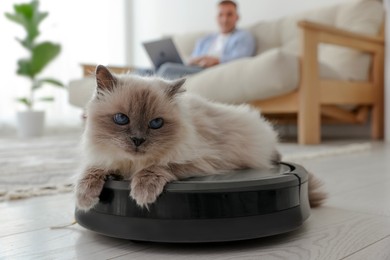 Photo of Young man using laptop at home and cute cat on robotic vacuum cleaner, selective focus