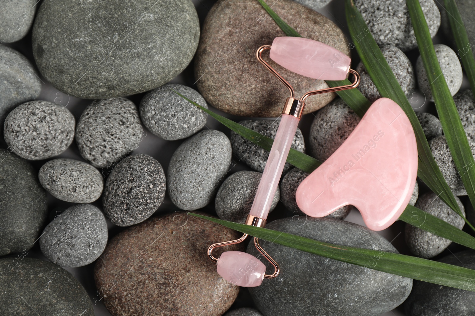 Photo of Face roller, gua sha tool and leaf on stones, top view