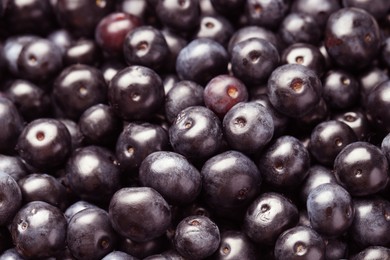 Photo of Ripe acai berries as background, closeup view