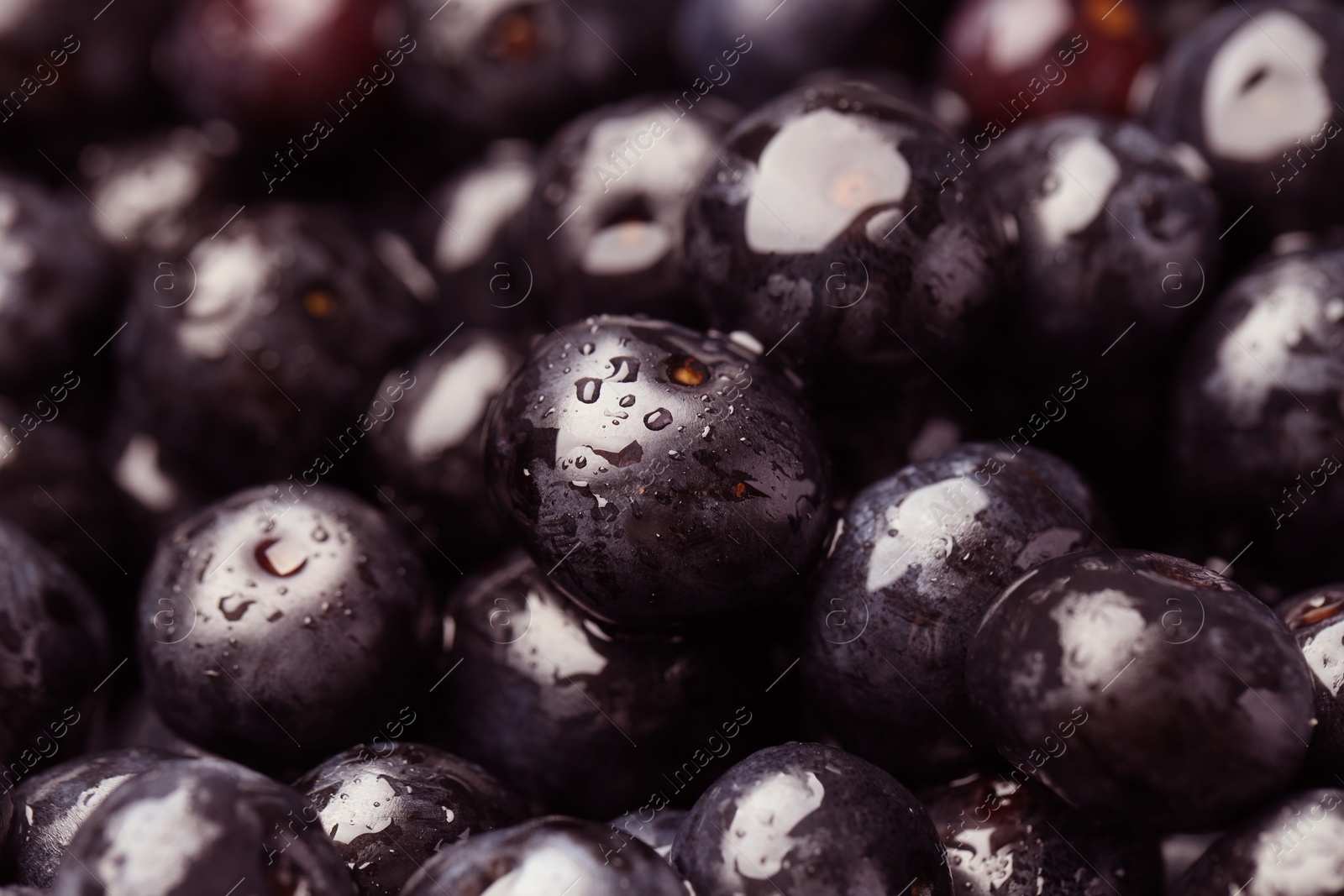 Photo of Wet acai berries as background, closeup view