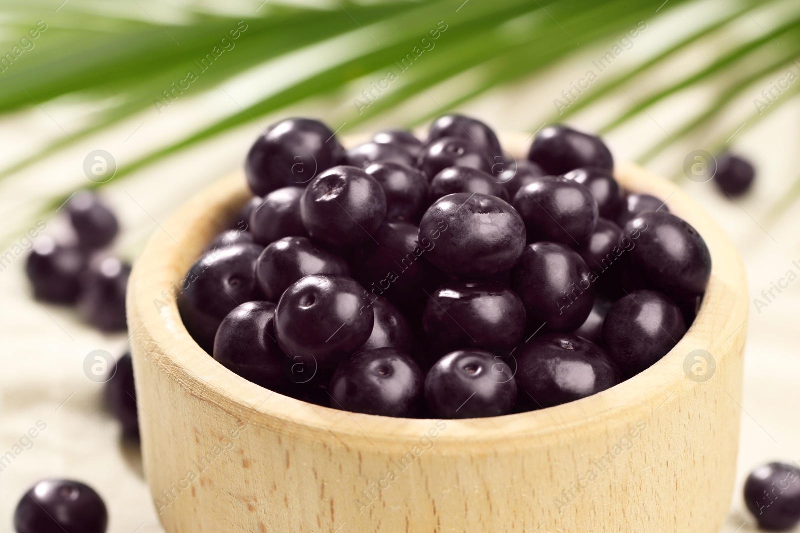 Photo of Ripe acai berries in bowl on table, closeup