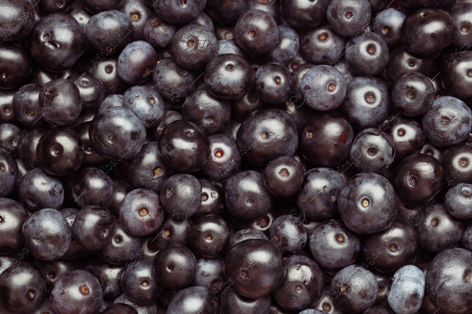 Photo of Ripe acai berries as background, top view