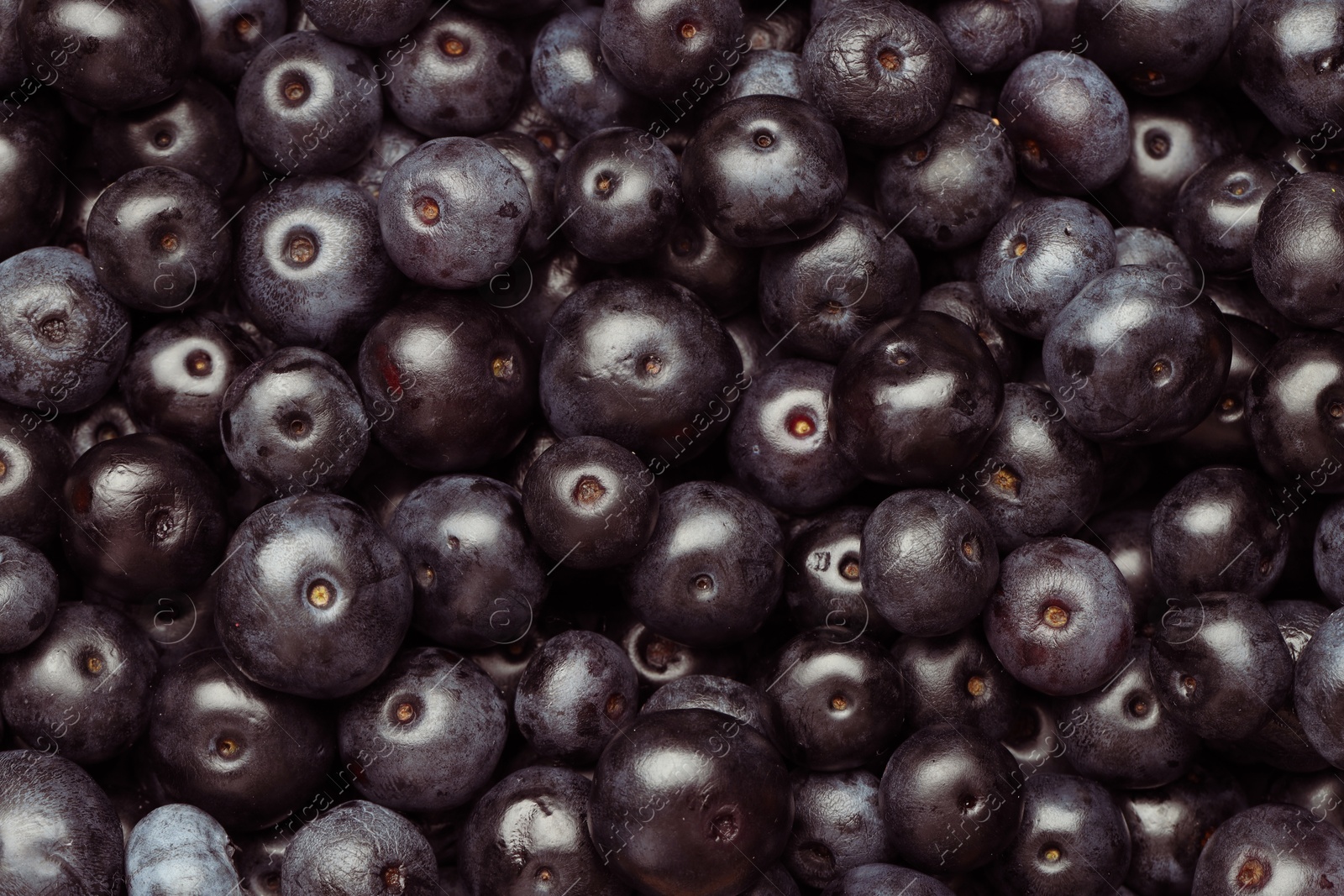 Photo of Ripe acai berries as background, top view