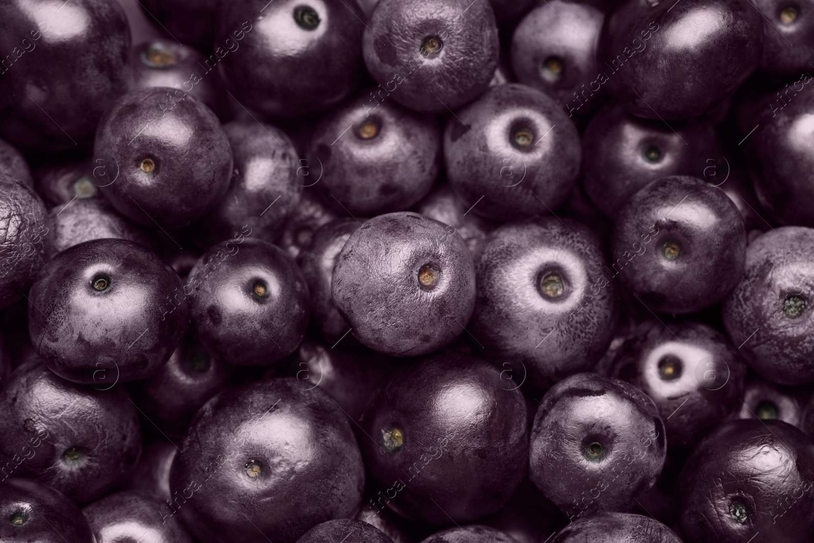 Photo of Ripe acai berries as background, top view