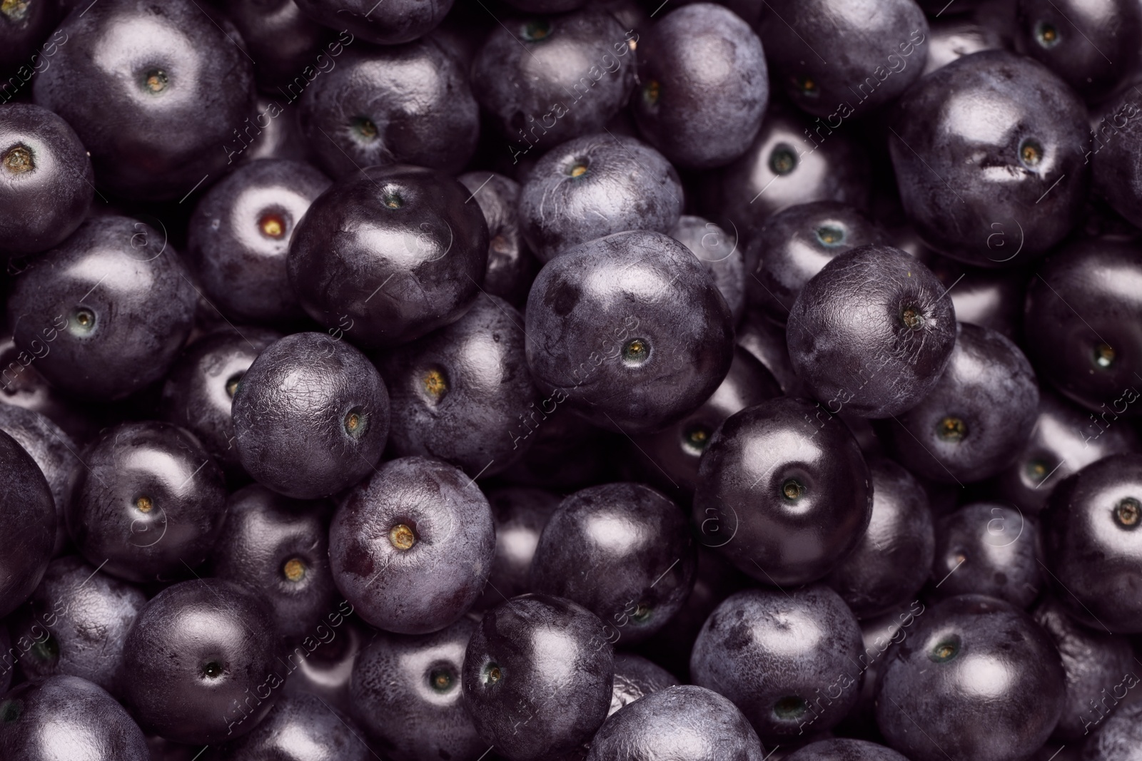 Photo of Ripe acai berries as background, top view