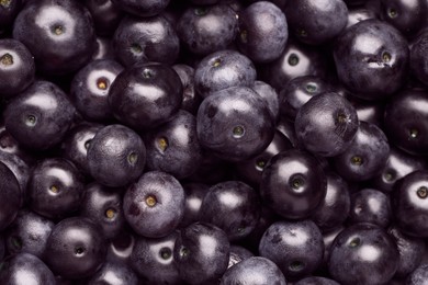 Photo of Ripe acai berries as background, top view