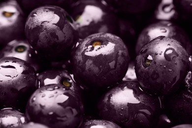 Photo of Wet acai berries as background, closeup view