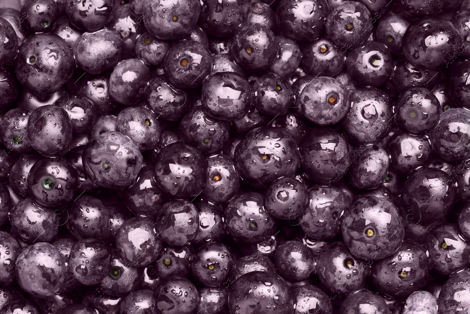 Photo of Wet acai berries as background, top view