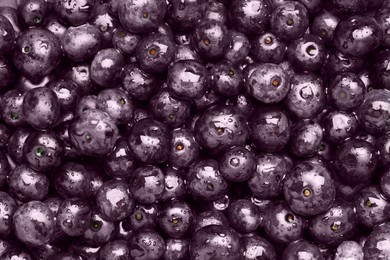 Photo of Wet acai berries as background, top view