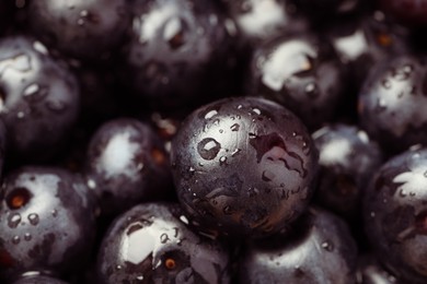 Photo of Wet acai berries as background, closeup view