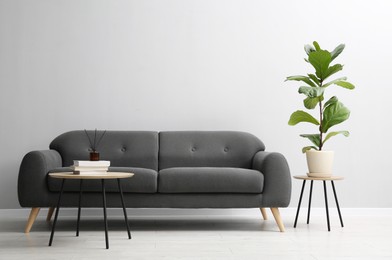 Photo of Comfortable sofa, tables and houseplant near grey wall in room