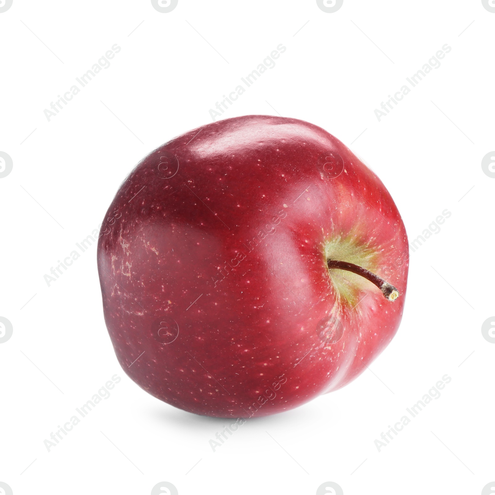 Photo of One fresh red apple isolated on white