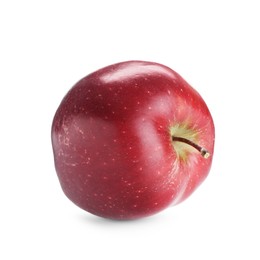 Photo of One fresh red apple isolated on white