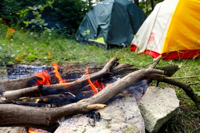 Beautiful bonfire and camping tents in forest