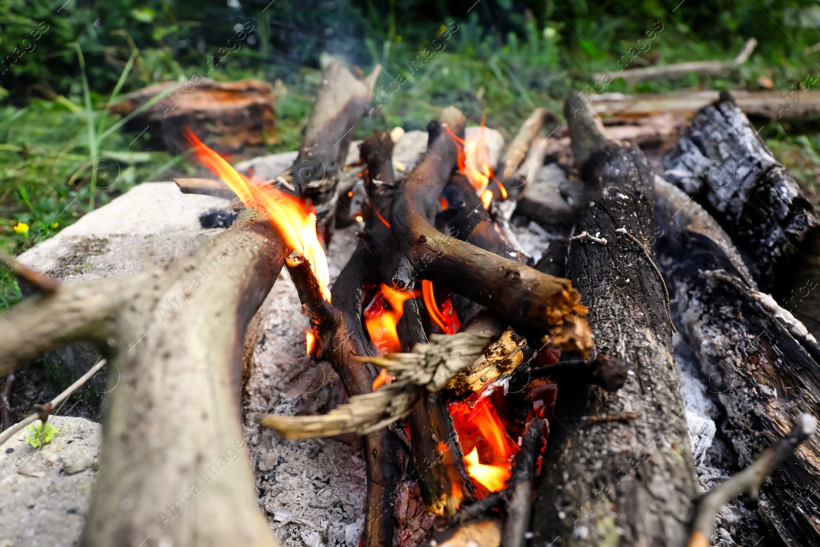 Photo of Campfire with burning firewood in forest, closeup