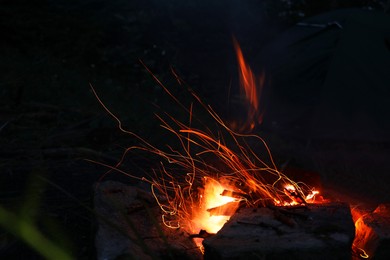 Campfire with beautiful flame in forest at night, space for text