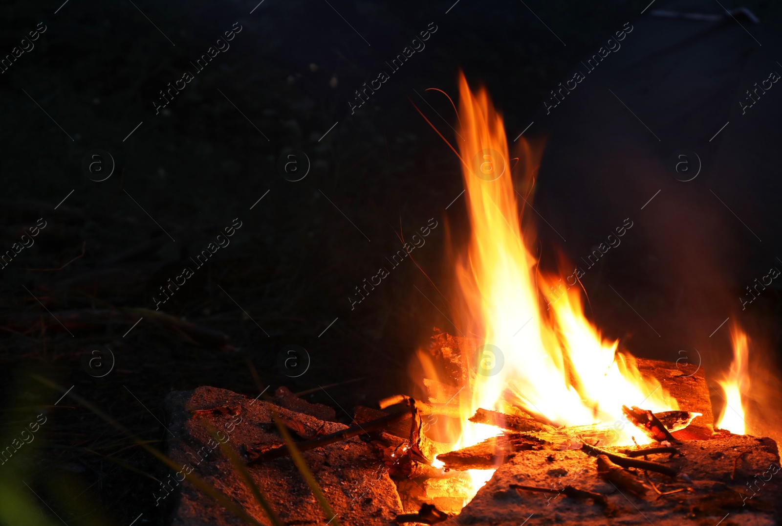 Photo of Campfire with beautiful flame in forest at night, space for text