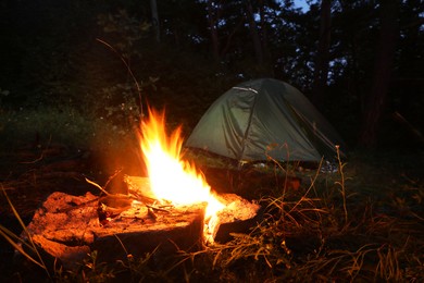 Bonfire and camping tent in forest at night