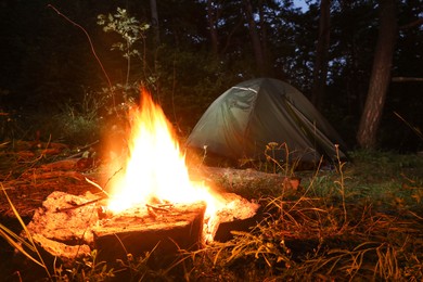 Bonfire and camping tent in forest at night