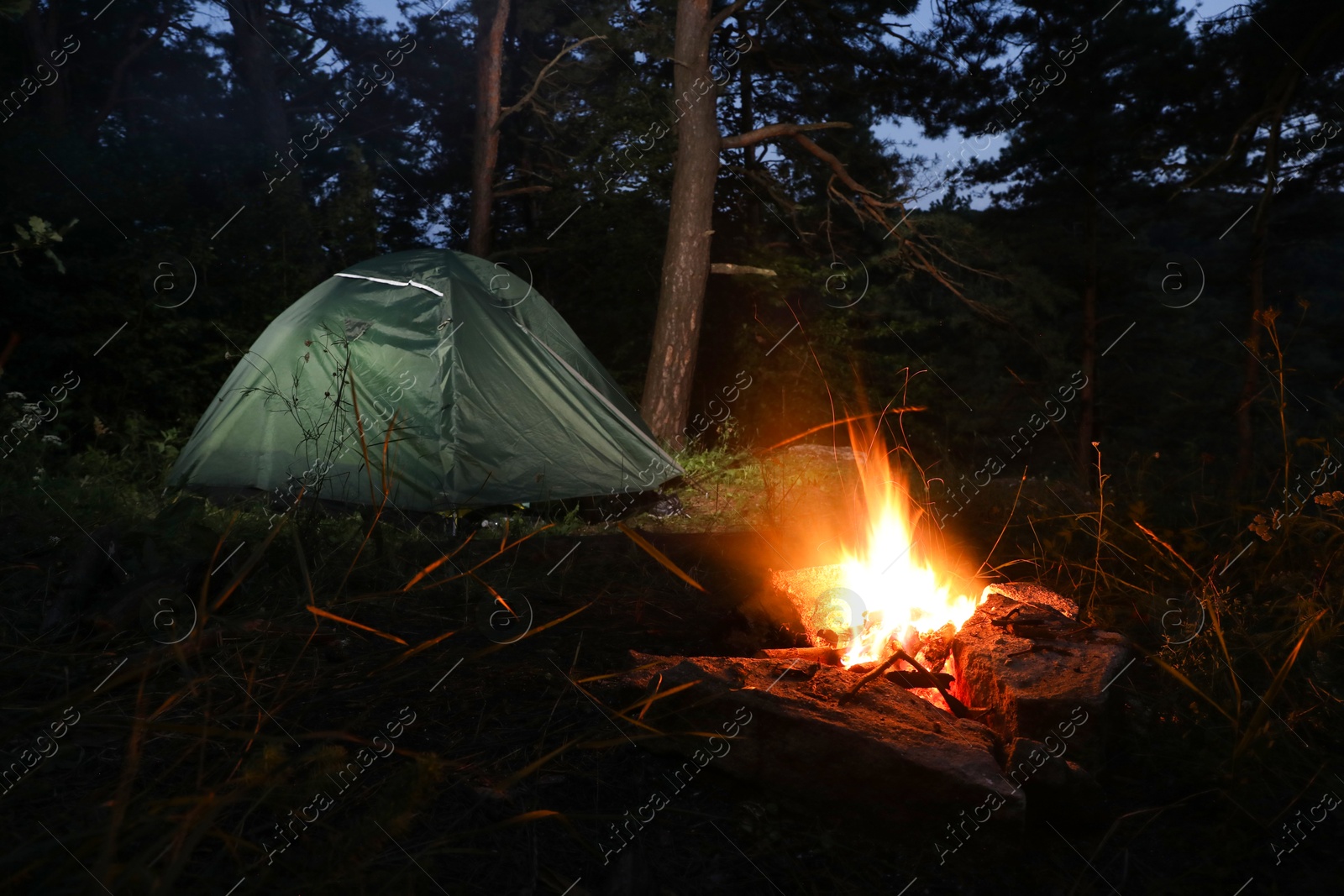 Photo of Bonfire and camping tent in forest at night