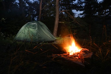 Bonfire and camping tent in forest at night