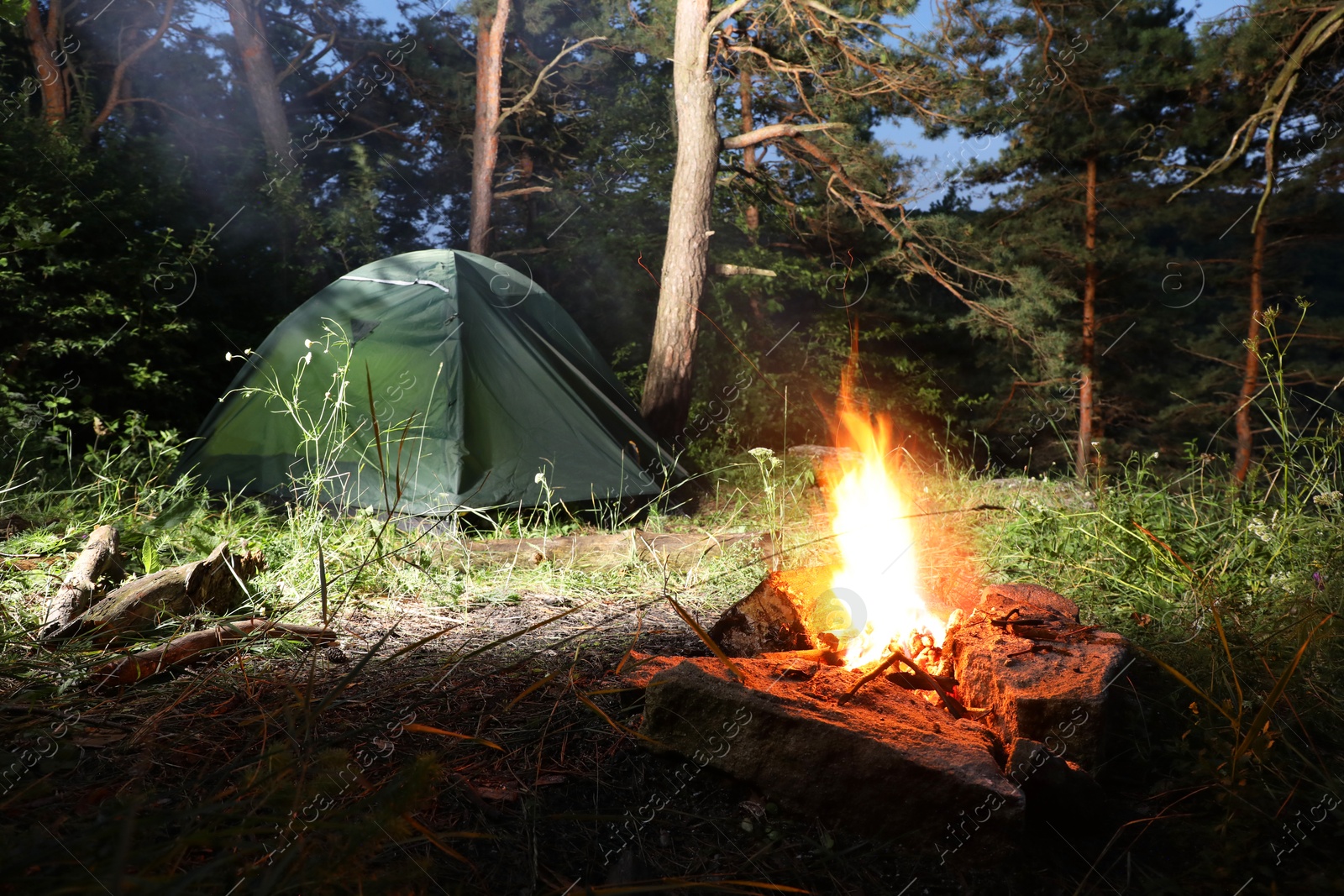 Photo of Bonfire and camping tent in forest at night