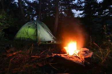 Photo of Bonfire and camping tent in forest at night