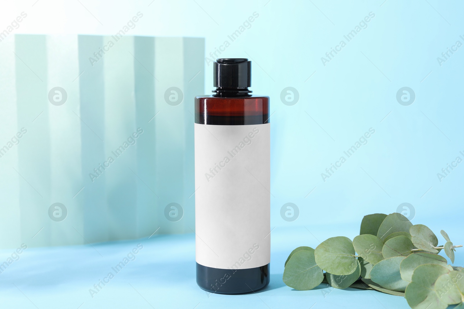 Photo of Shampoo in bottle and green eucalyptus leaves on light blue background