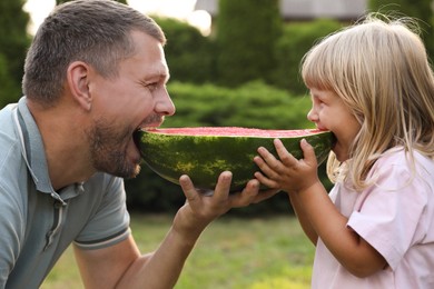 Photo of Man and his cute daughter eating juicy watermelon outdoors together