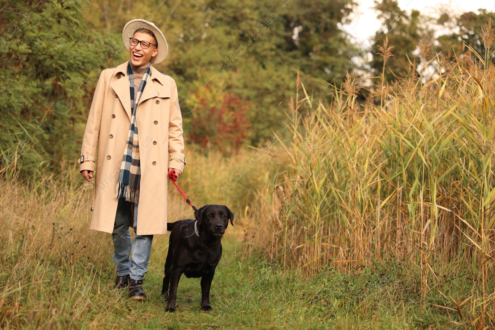 Photo of Smiling man walking with cute dog outdoors on autumn day. Space for text