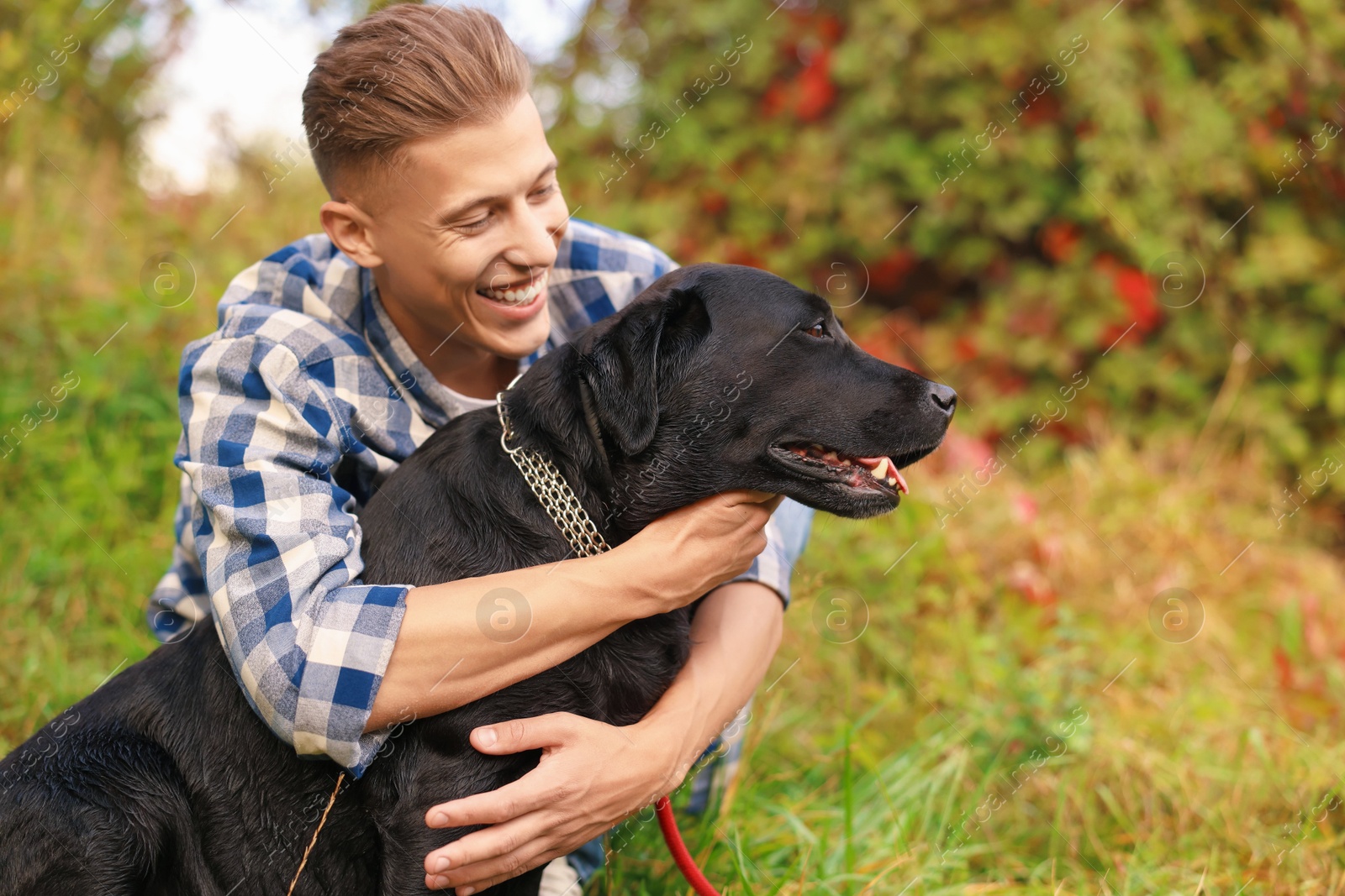 Photo of Smiling man hugging cute dog outdoors on autumn day. Space for text