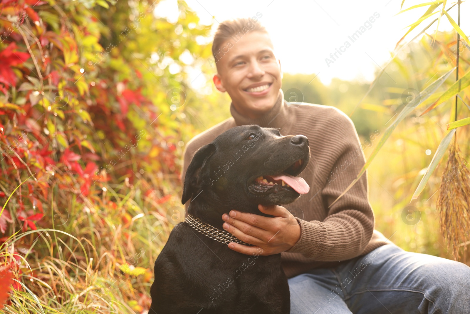 Photo of Smiling man with cute dog outdoors on autumn day