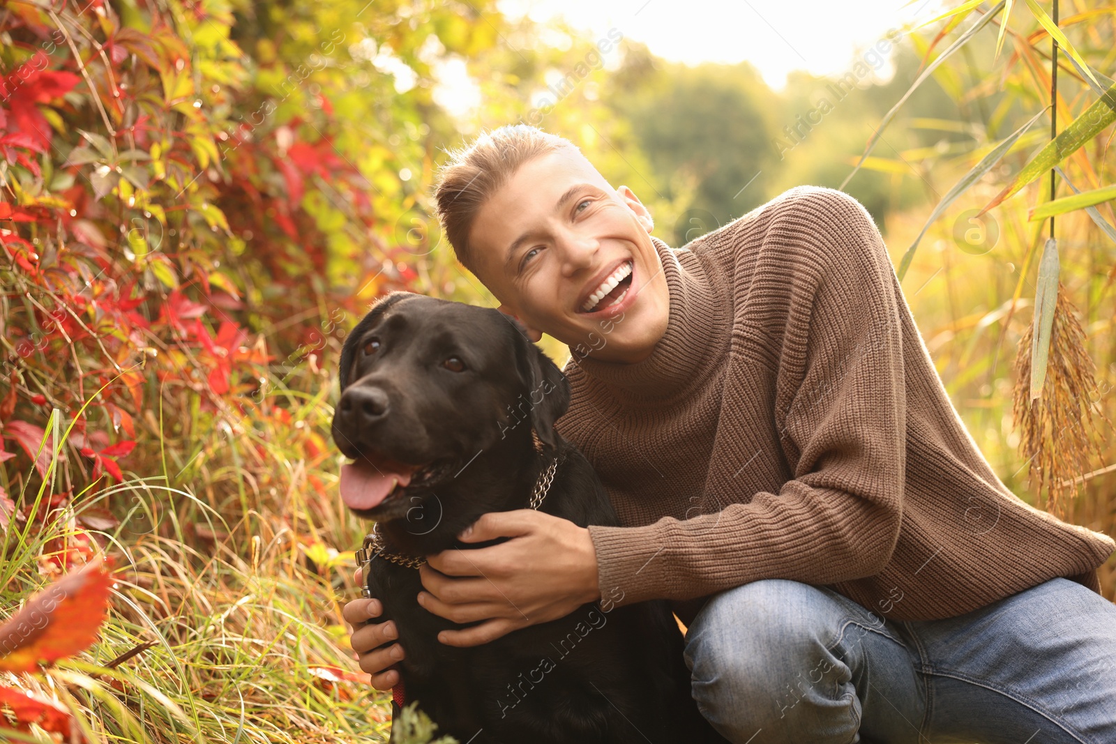 Photo of Smiling man with cute dog outdoors on autumn day