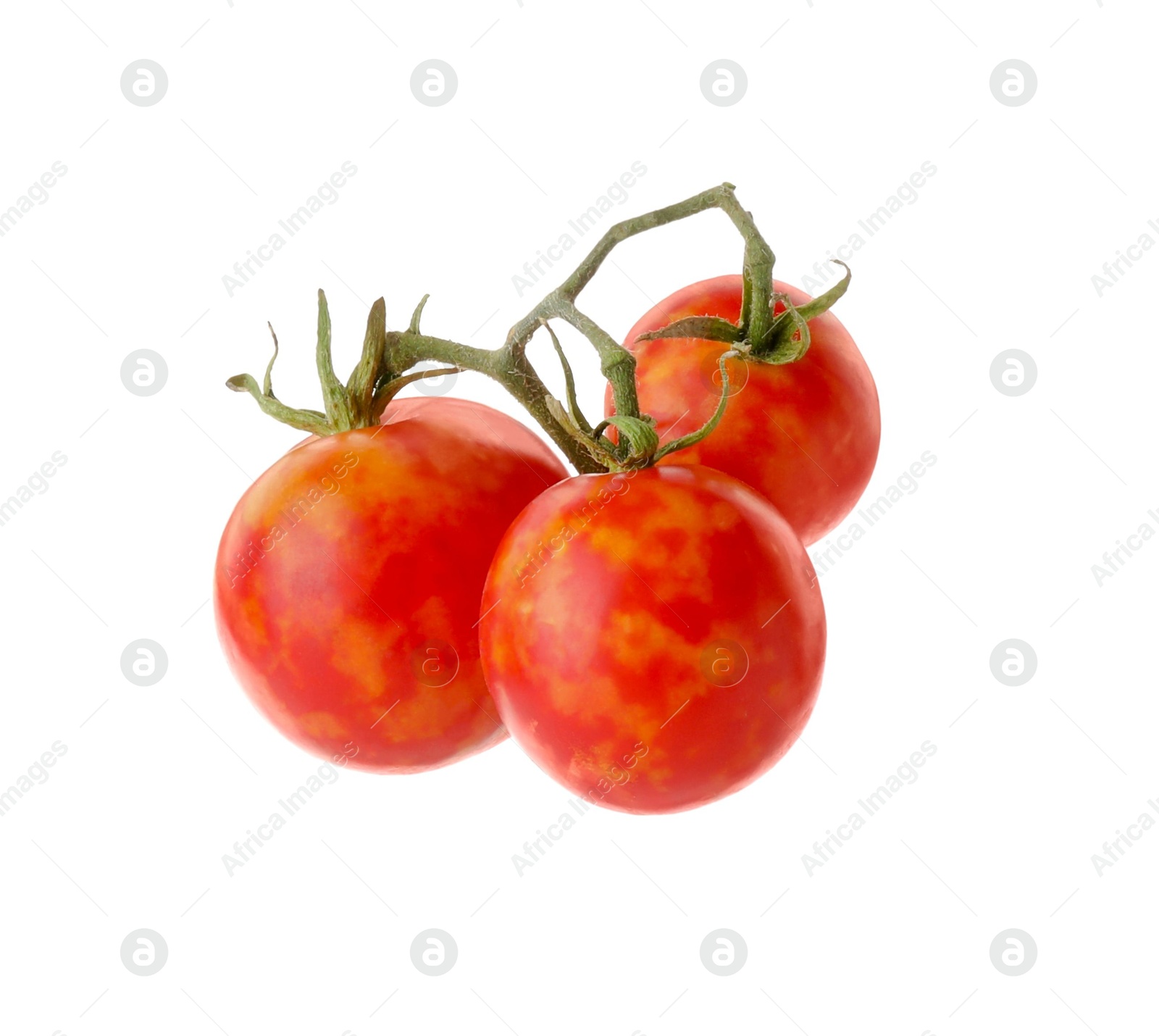 Photo of Branch with ripe tomatoes isolated on white