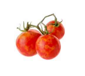 Photo of Branch with ripe tomatoes isolated on white