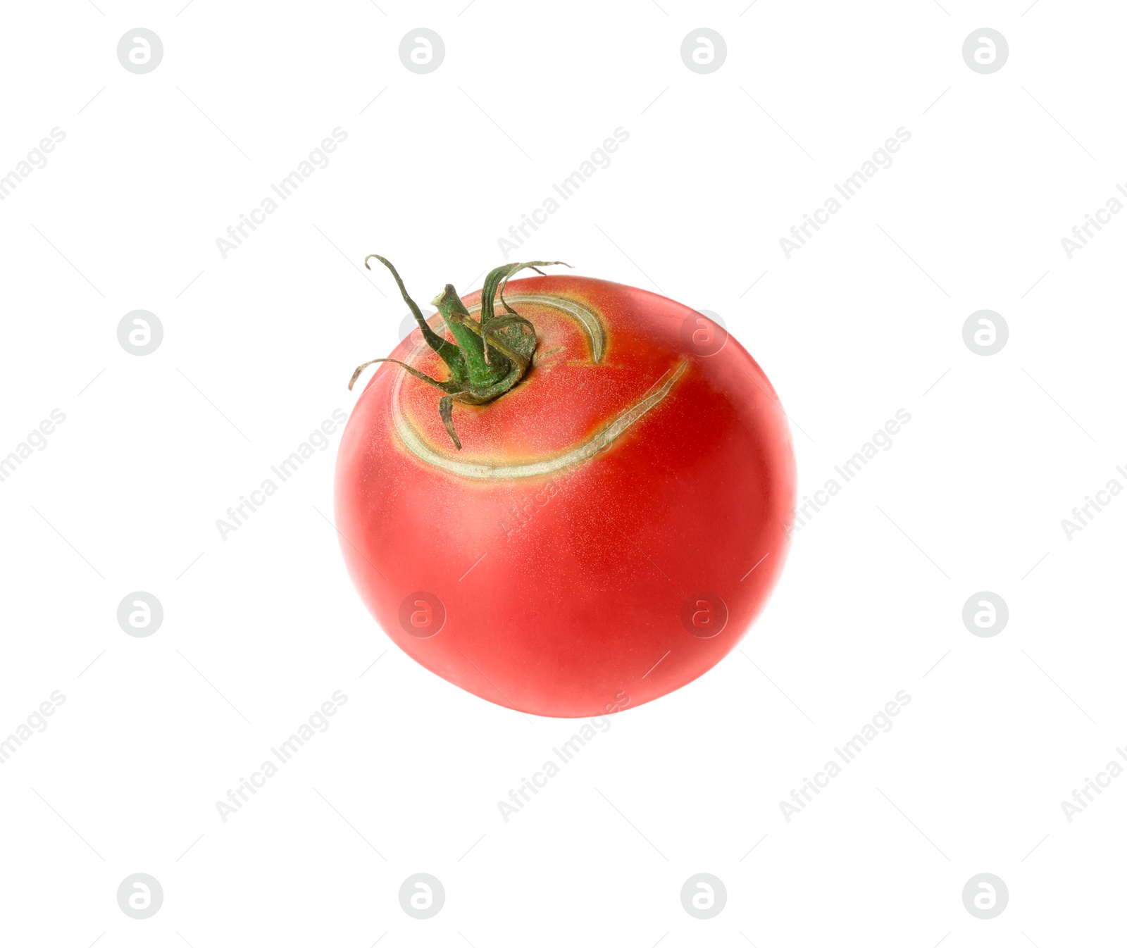 Photo of One fresh ripe pink tomato isolated on white