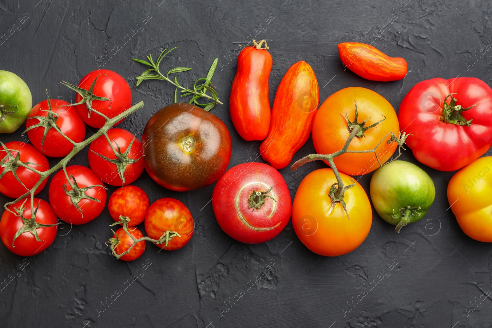 Photo of Different fresh tomatoes and rosemary on grey textured table, flat lay