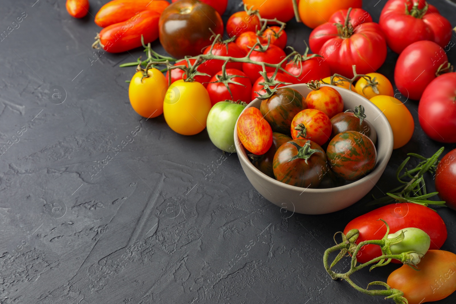 Photo of Different fresh tomatoes on grey textured table. Space for text