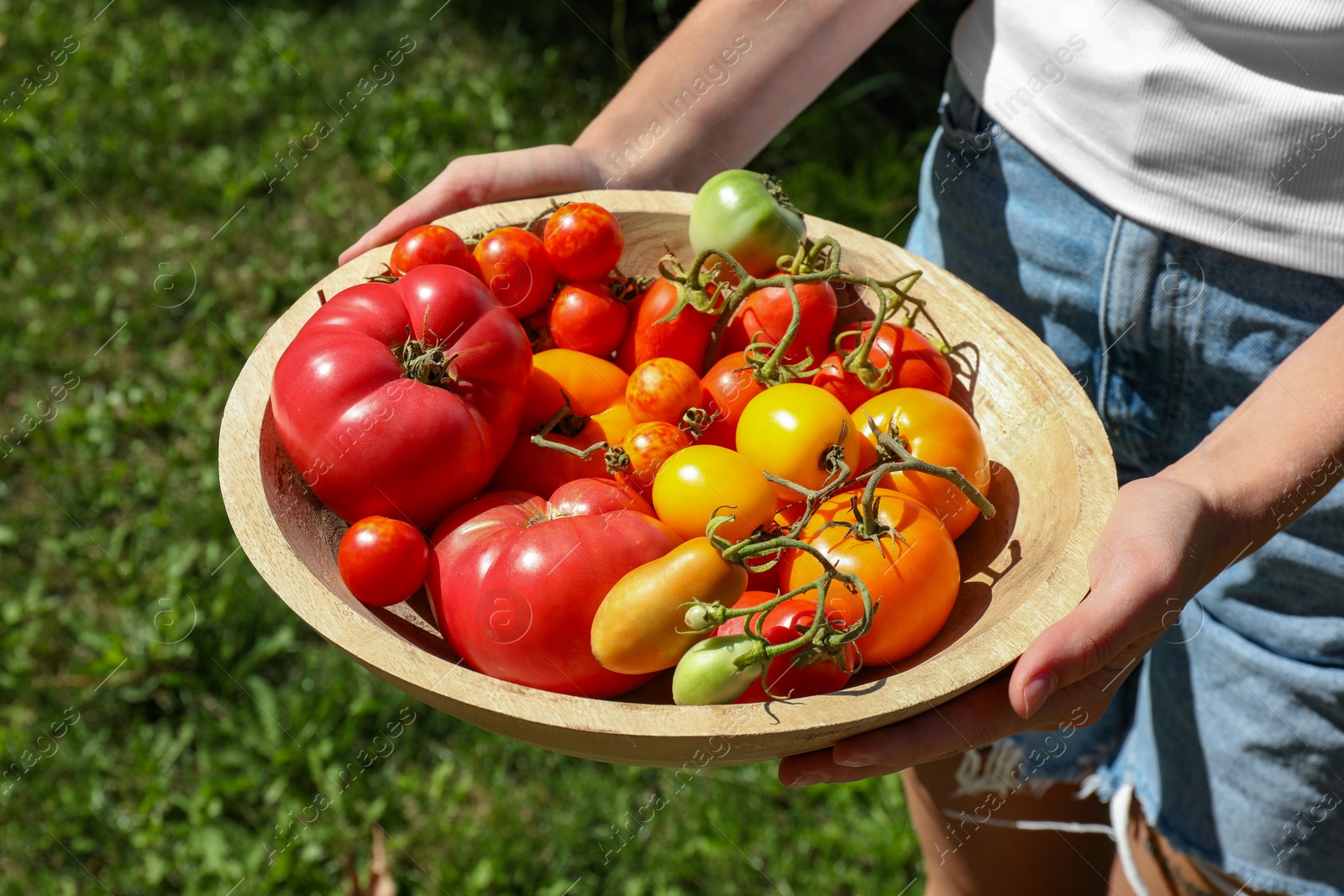 Photo of Woman holding bowl of different fresh tomatoes on sunny day, closeup