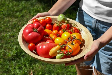 Woman holding bowl of different fresh tomatoes on sunny day, closeup