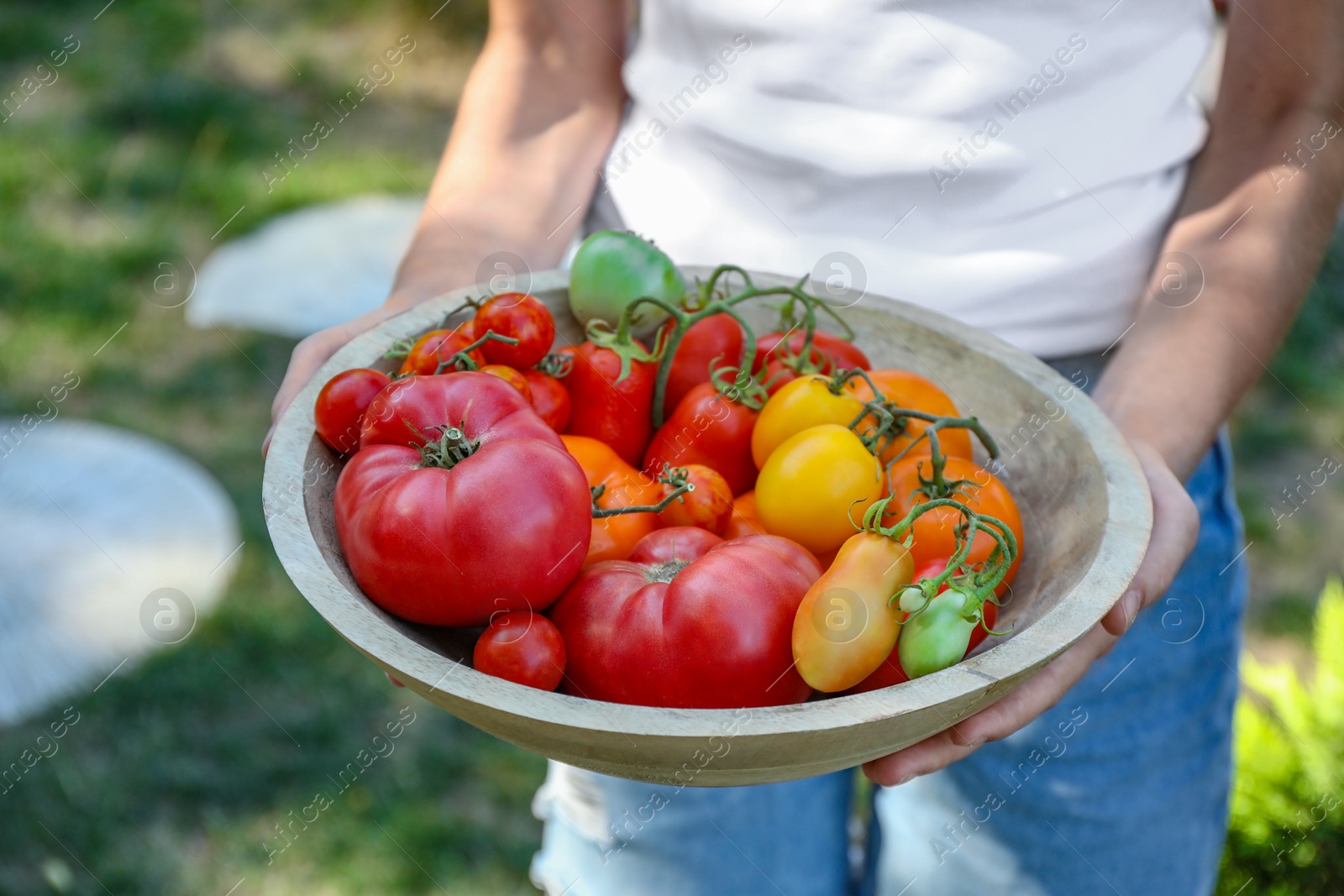 Photo of Woman holding bowl of different fresh tomatoes outdoors, closeup