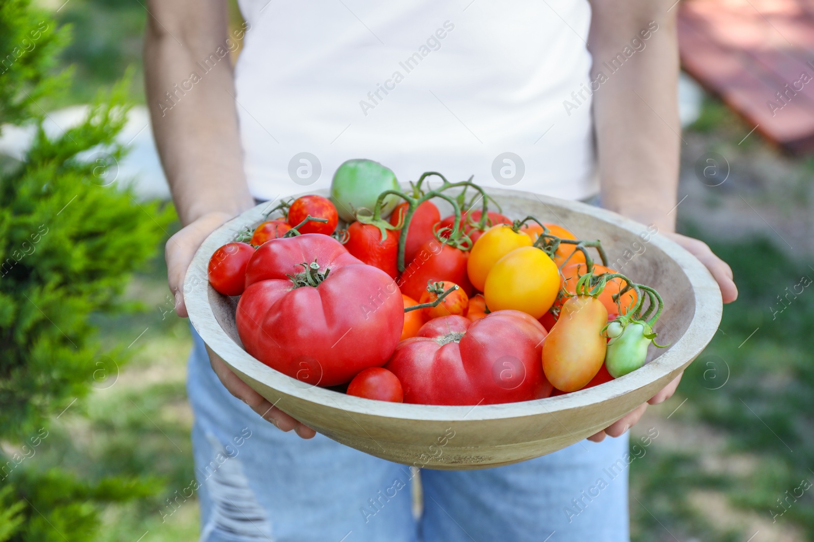 Photo of Woman holding bowl of different fresh tomatoes outdoors, closeup