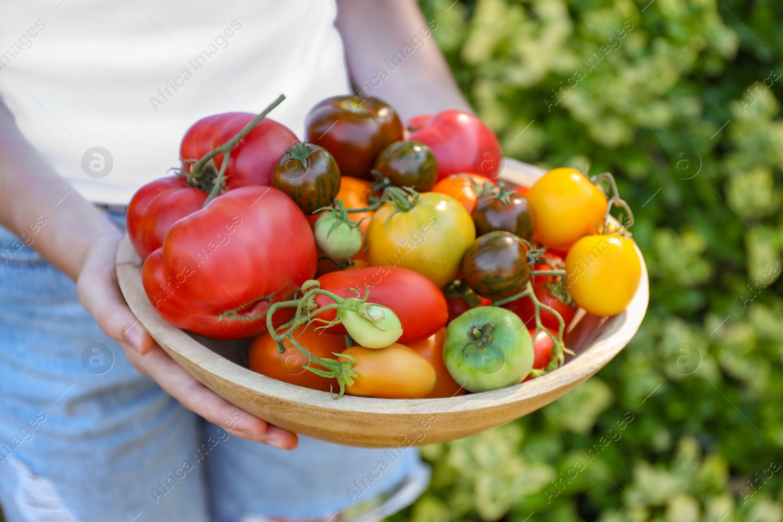 Photo of Woman holding bowl of different fresh tomatoes outdoors, closeup