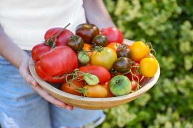 Photo of Woman holding bowl of different fresh tomatoes outdoors, closeup