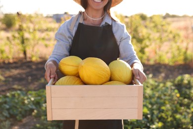 Photo of Woman holding wooden crate of ripe melons in field, closeup