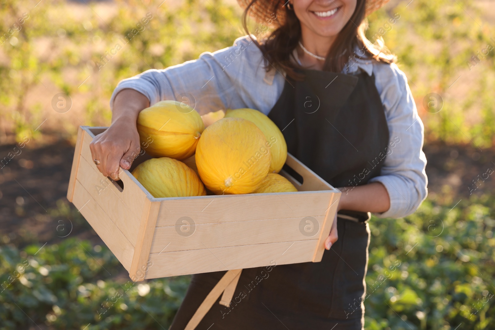 Photo of Woman holding wooden crate of ripe melons in field, closeup