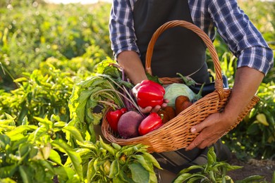 Photo of Harvesting season. Farmer holding wicker basket with fresh vegetables in field on sunny day, closeup