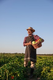 Photo of Harvesting season. Farmer with wicker basket of fresh vegetables in field on sunny day