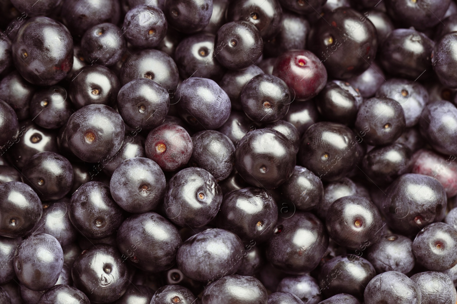 Photo of Ripe acai berries as background, closeup view